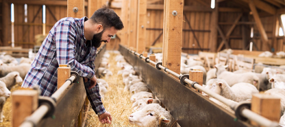 The Role of Sustainable Livestock Farming in a Greener Future